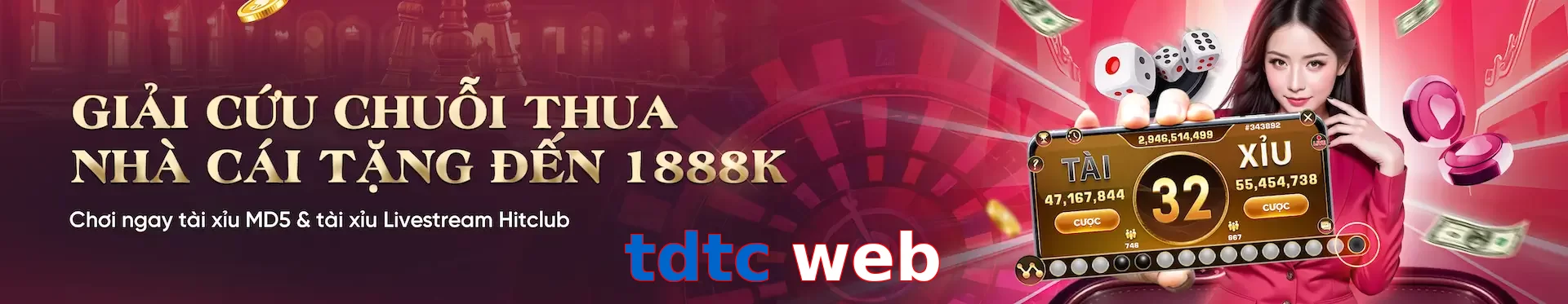 tdtc web