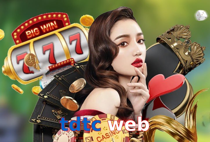 tdtc web
