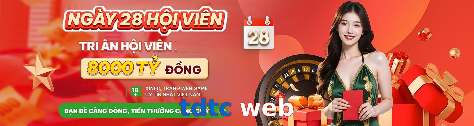 tdtc web