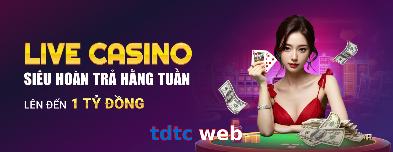tdtc web