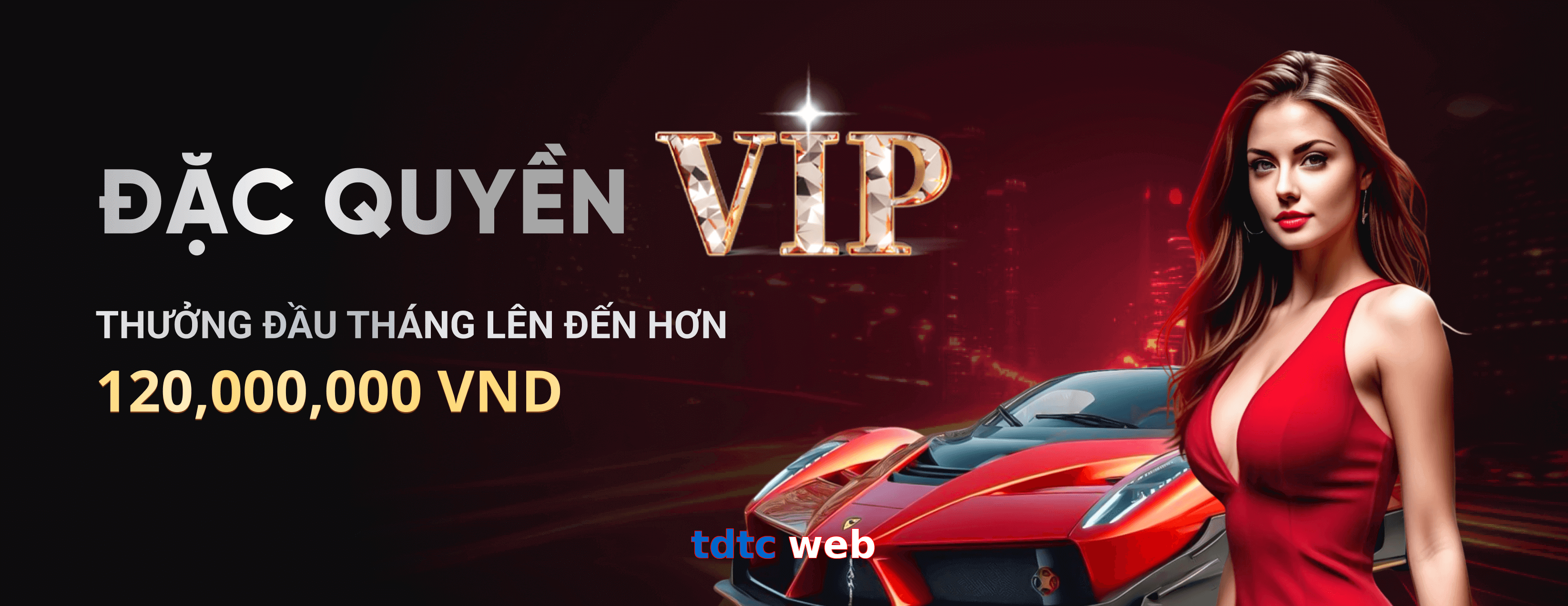 tdtc web