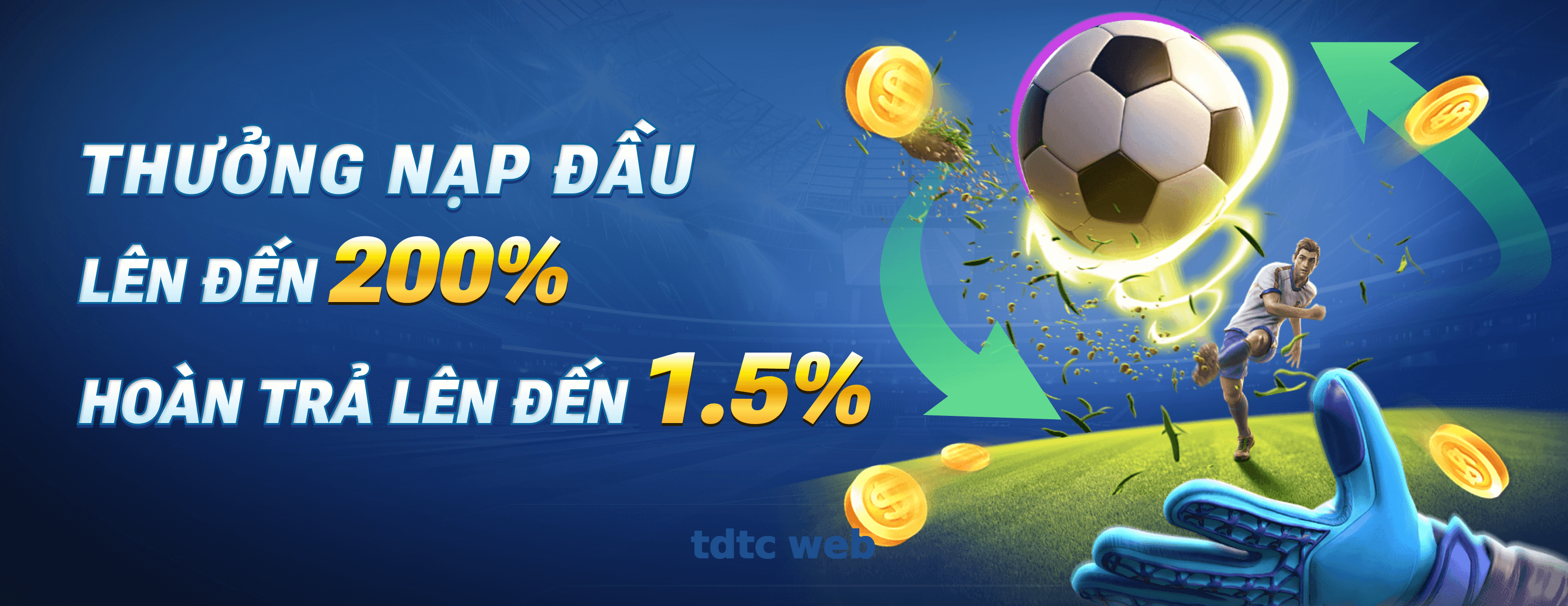 tdtc web
