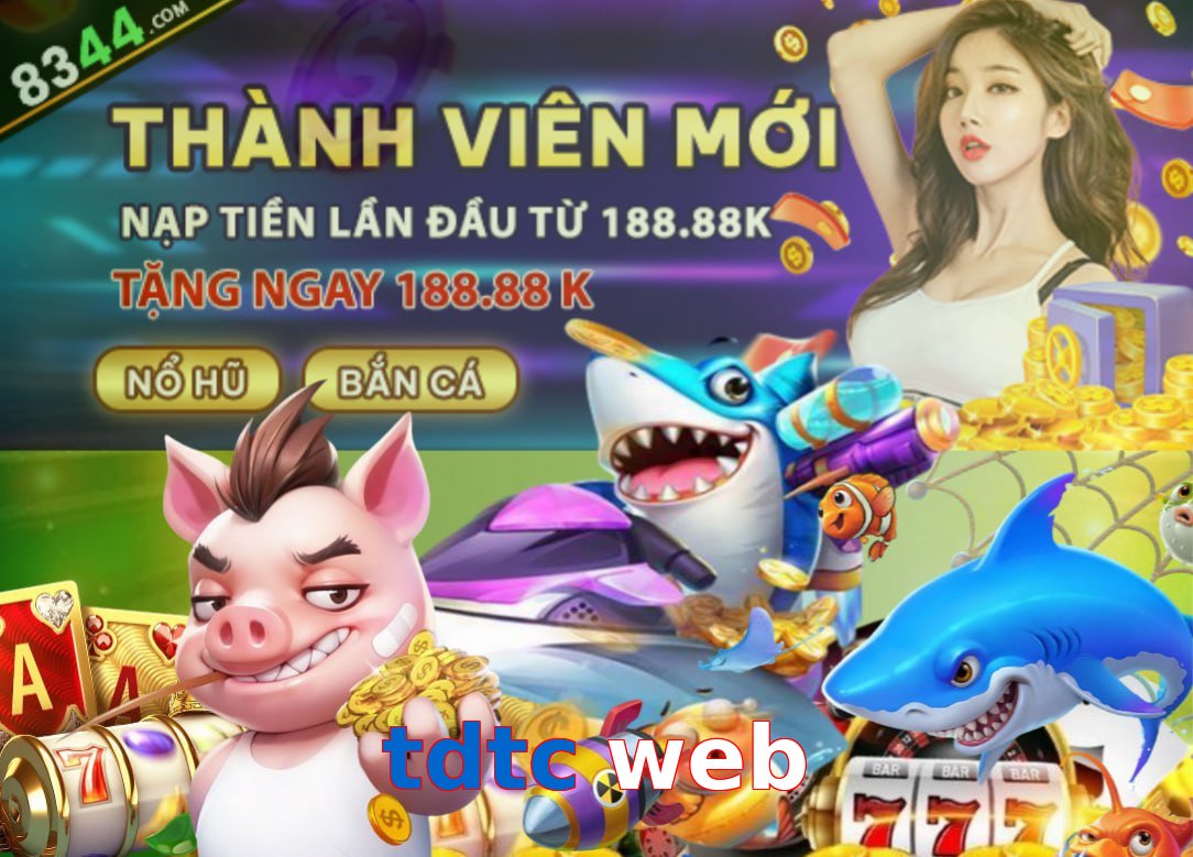 tdtc web