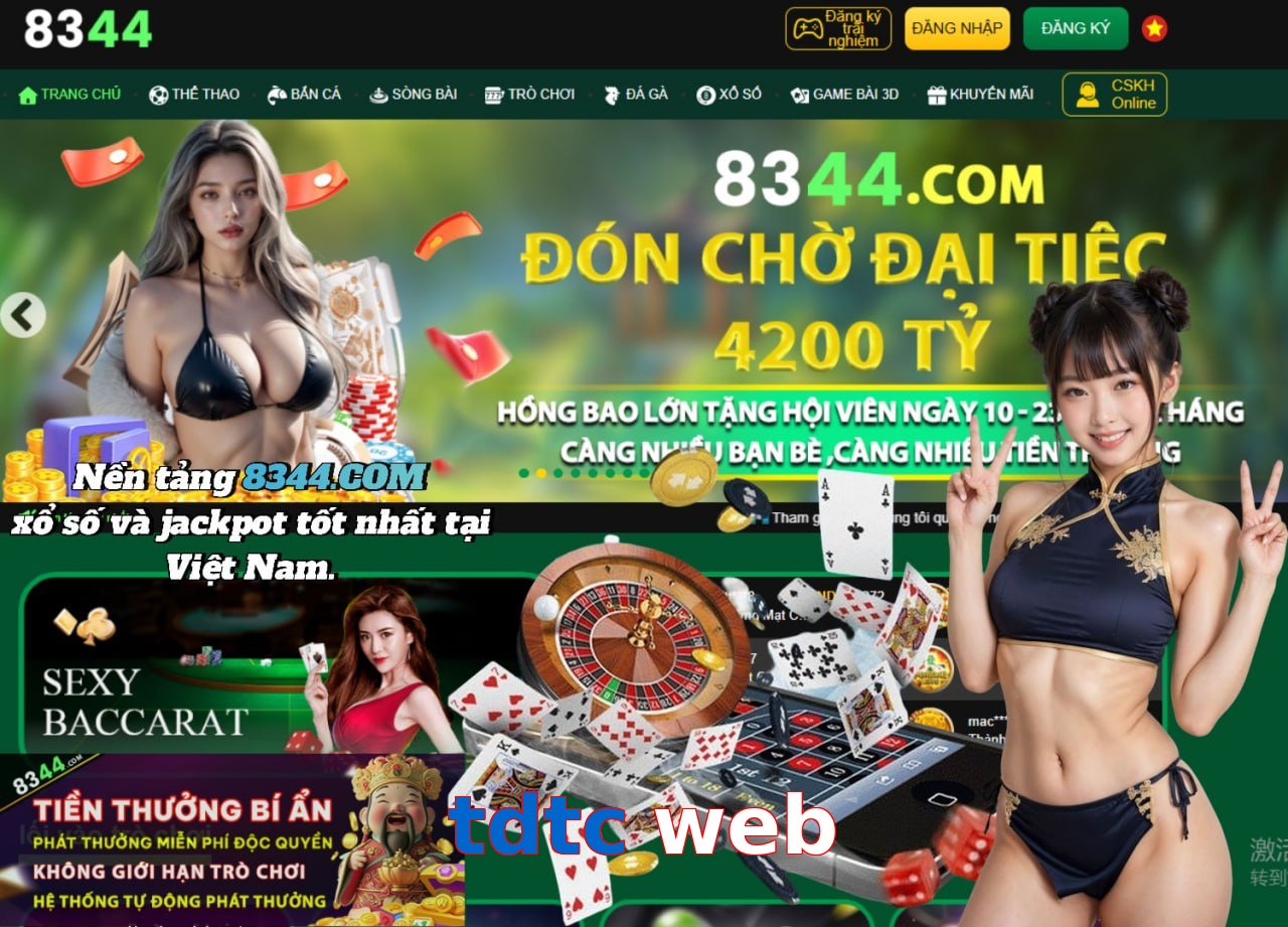 tdtc web