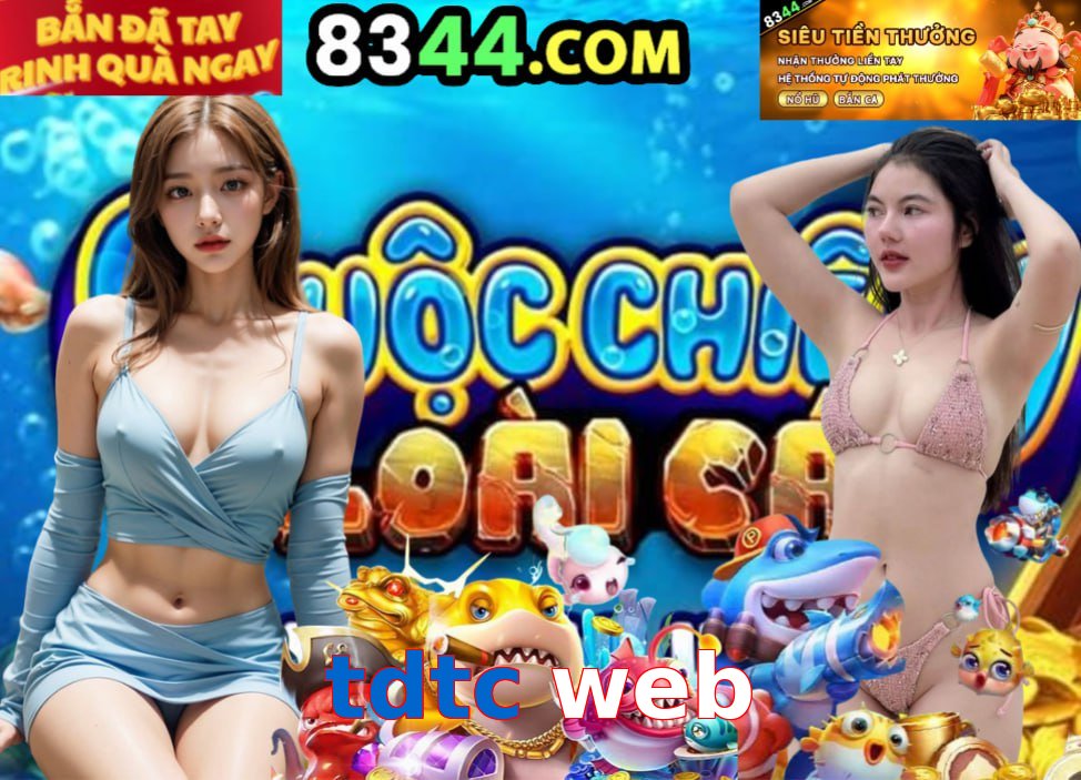 tdtc web